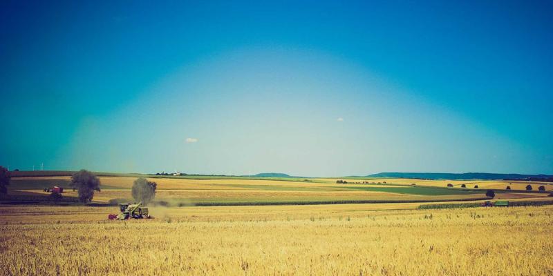 丝网25：从基础防护到现代工程，揭秘丝网、防护网与护栏的演进与应用