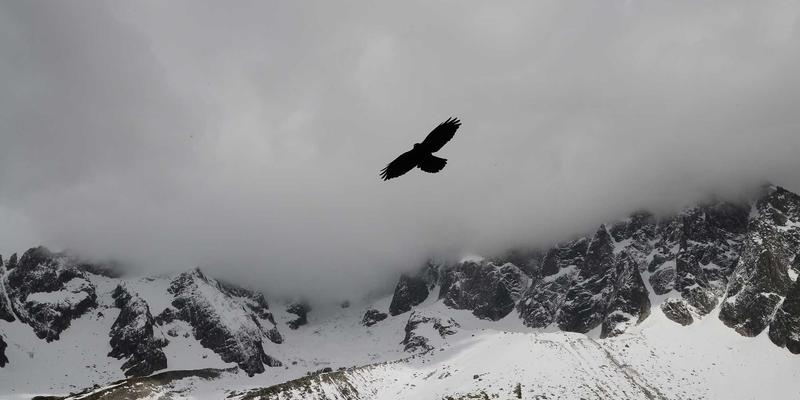 丝网61：从工程护栏到精密防护网，现代工业的坚韧防线