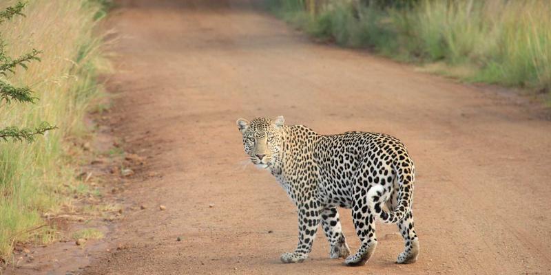 丝网91：金属网在现代工程护栏与防护网中的核心应用解析