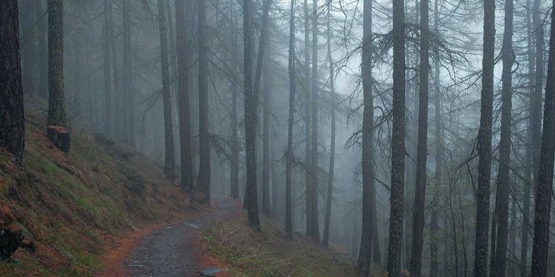 丝网全攻略：从金属网基础到豫阳丝网选购指南