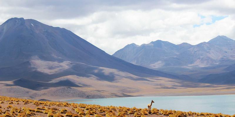 丝网制品全解析：从护栏到创新应用，探索金属丝网的多元世界