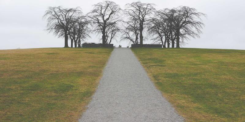 丝网制品在智慧农业中的应用：防虫网与遮阳网的选型依据及其微气候调节作用