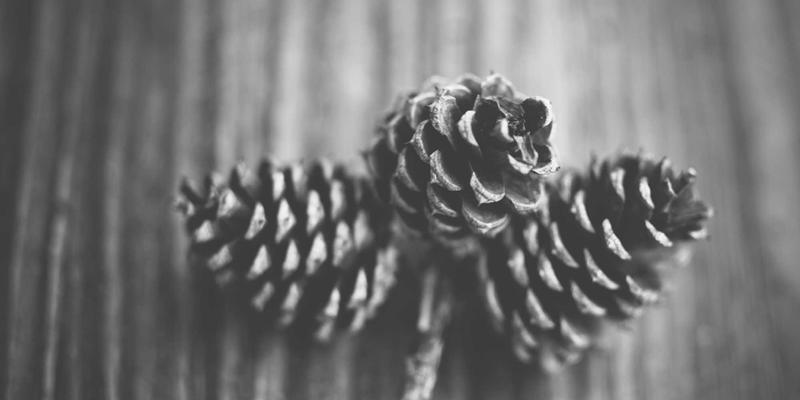 丝网印刷技术赋能陶瓷贴花纸：精细图案转移与色彩还原的工程艺术