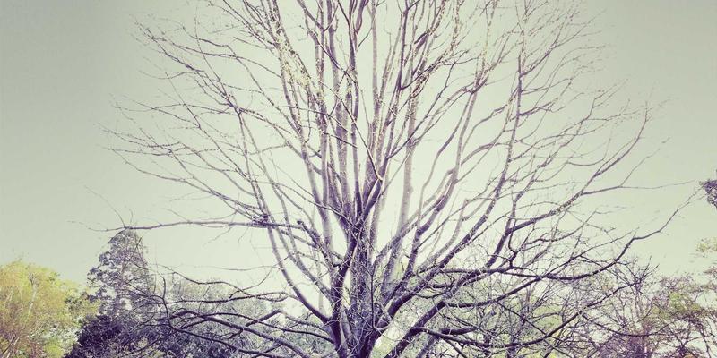 丝网版画艺术创作全解析：从制版到印刷的详细步骤与实用技巧 | 豫阳丝网工艺探秘