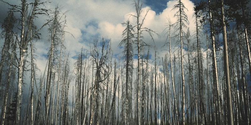 丝网除沫器：化工设备中不可或缺的分离卫士与工程护栏