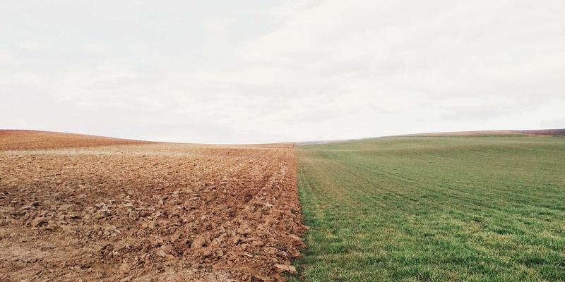 从工程护栏到人体骨骼：医用植入级钛合金丝网的生物相容性与骨科临床革新