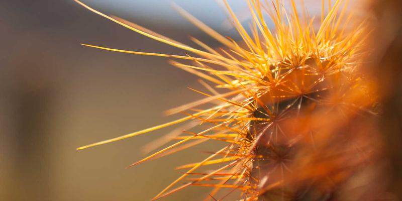 从豫阳丝网到工业心脏：多层复合金属网结构如何优化石油化工催化剂载体传质效率