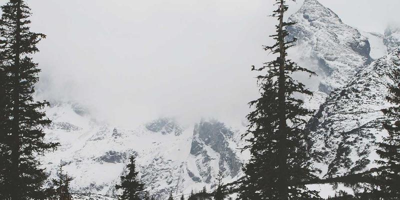 工程护栏与金属网应用指南：豫阳丝网的最佳实践解析