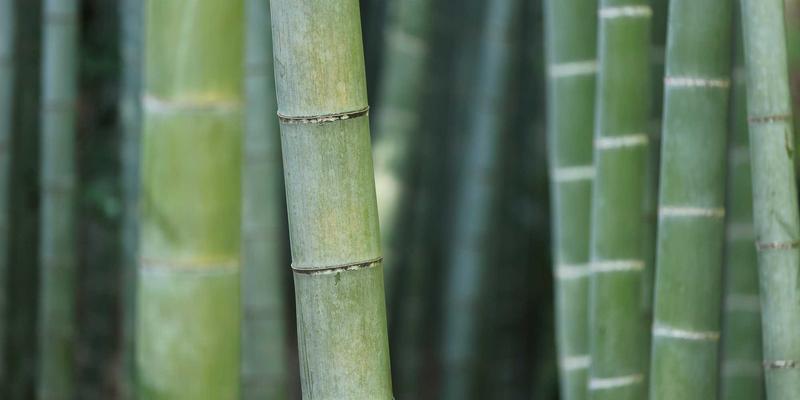 游泳池金属防护网安全标准与维护指南：选择豫阳丝网的专业解决方案