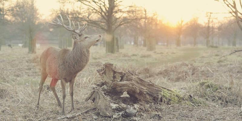 金属丝网增强复合材料：汽车轻量化结构件的力学性能突破与豫阳丝网应用实践
