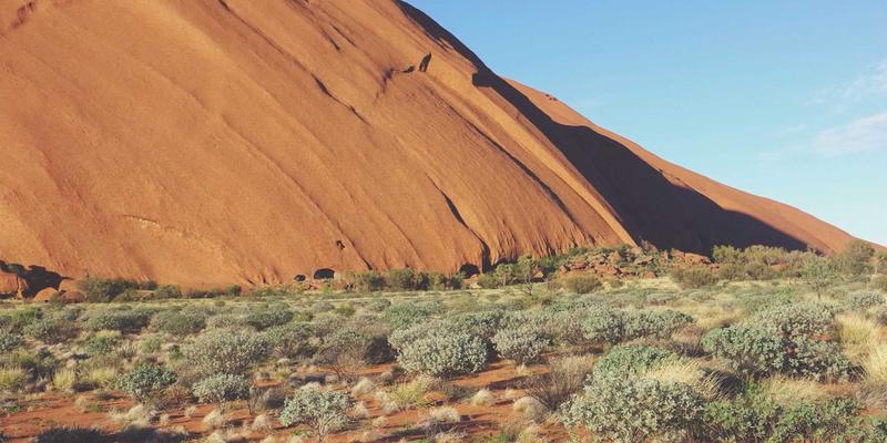 金属网与丝网制品：从工业基石到创新应用，探秘豫阳丝网的卓越之道