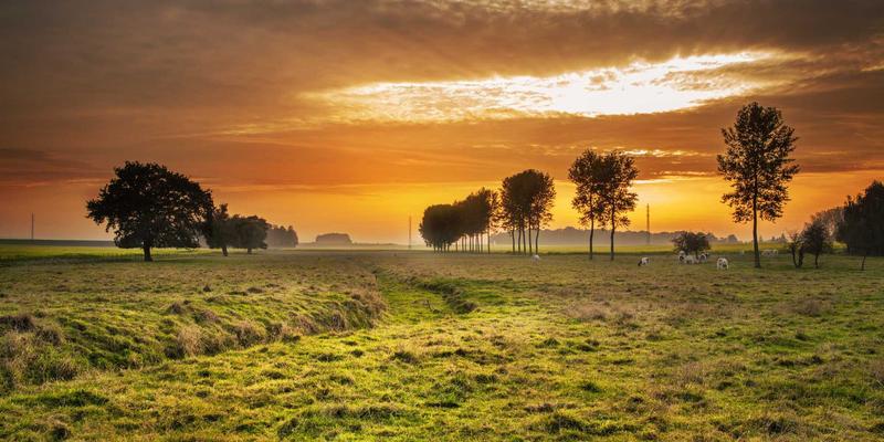 防护网技术新高度：航空航天级高温合金丝网在发动机热端部件中的关键应用